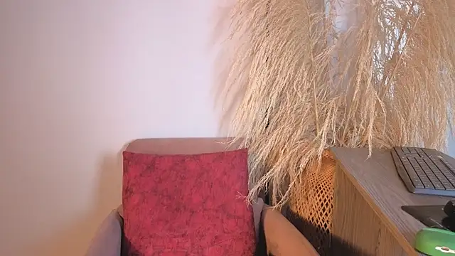 Elecktra sweet online show from 16, 7, 2026