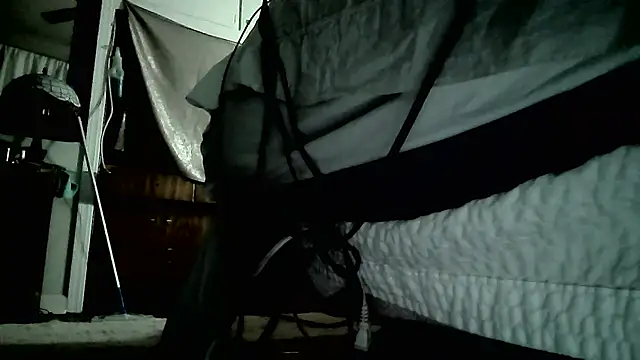 Snapshot of paiday chatting on 26, 12, 2024 paiday online show from 26, 12, 2024