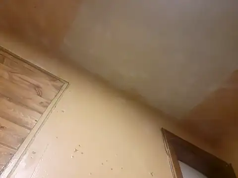 Snapshot of BigDDave6979 chatting on 14, 3, 2025 BigDDave6979 online show from 14, 3, 2025