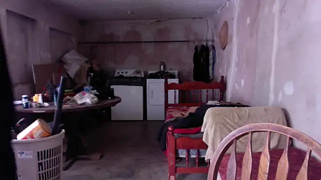 LoretoMx online show from 17, 11, 2025