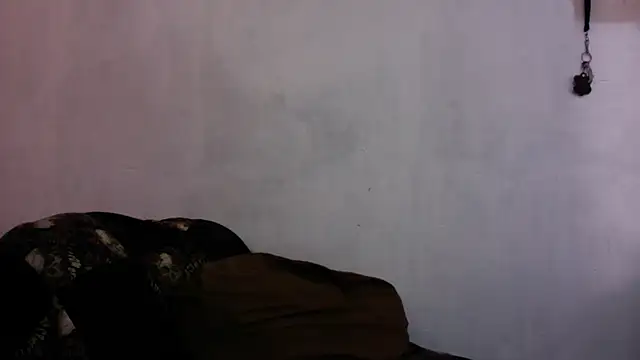 LoretoMx online show from 10, 7, 2026