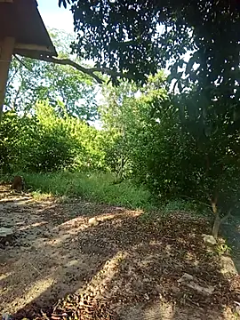 Snapshot of natally_ross21 chatting on 5, 2, 2026 natally ross21 online show from 5, 2, 2026