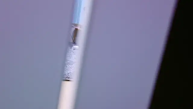 HaruruHappy online show from 18, 1, 2025