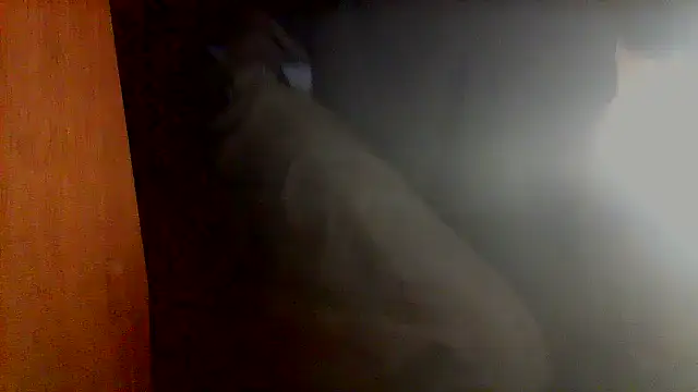 Snapshot of nice6incs chatting on 5, 11, 2025 nice6incs online show from 5, 11, 2025