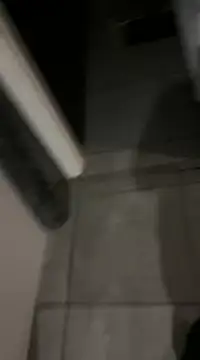 Ariel Ari online show from 24, 12, 2024