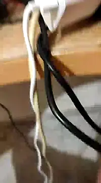 skrigul12 online show from 28, 12, 2024