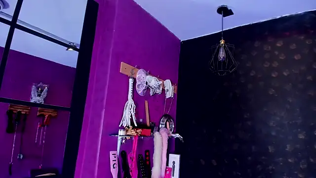 Snapshot of Alexa_Slave chatting on 1, 12, 2025 Alexa Slave online show from 1, 12, 2025