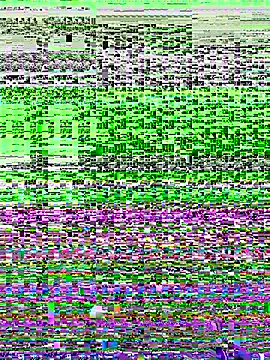 NDith online show from 2, 12, 2025