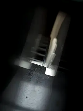 Snapshot of RYOTA8888888888 chatting on 22, 9, 2025 RYOTA8888888888 online show from 22, 9, 2025