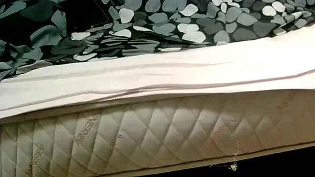 robertone80 online show from 2, 3, 2025