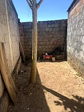 king cum  online show from 5, 11, 2025