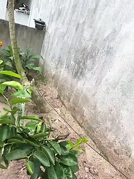 king cum  online show from 18, 2, 2026