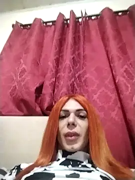 Transthifany online show from 11, 5, 2026