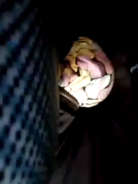 Policeman20742 online show from 25, 2, 2025