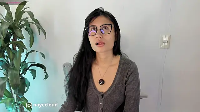 Snapshot of NayeCloud chatting on 14, 5, 2026 NayeCloud online show from 14, 5, 2026