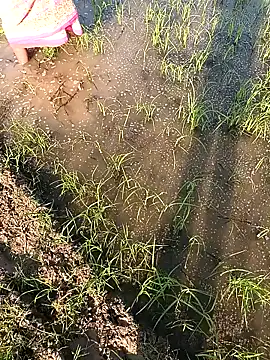 Snapshot of hairipussy2 chatting on 7, 2, 2025 hairipussy2 online show from 7, 2, 2025