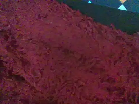 RoxiRedXXX online show from 11, 1, 2025