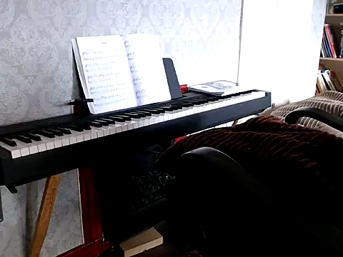 MrStraightDik online show from 25, 2, 2025