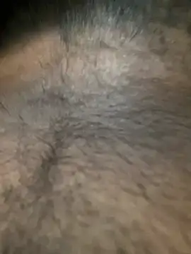 slblackboy12 online show from 29, 3, 2026