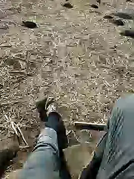 murokkk31 online show from 3, 12, 2024