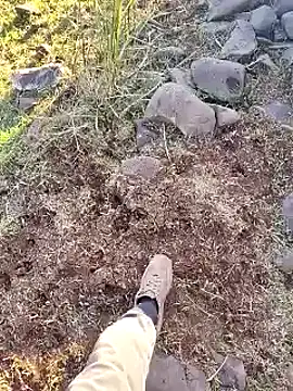 murokkk31 online show from 16, 12, 2025