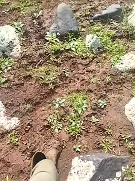 murokkk31 online show from 30, 3, 2026