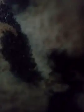 hotie7tvn online show from 10, 10, 2025