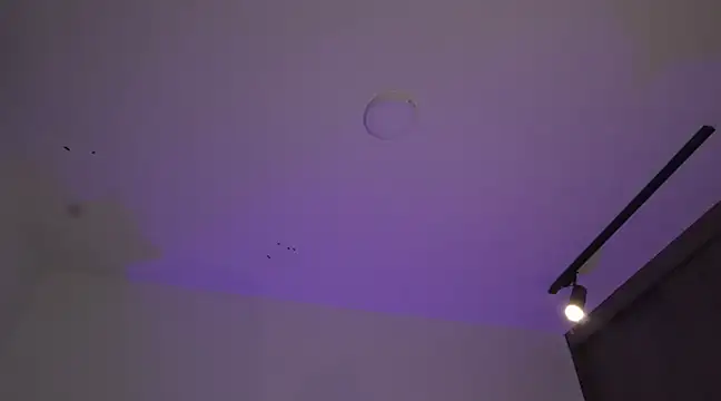 Snapshot of appolo_allen chatting on 17, 3, 2025 appolo allen online show from 17, 3, 2025