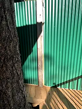 twist699 online show from 4, 11, 2025