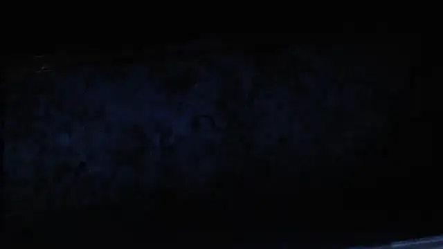 joeydee1 online show from 17, 2, 2025