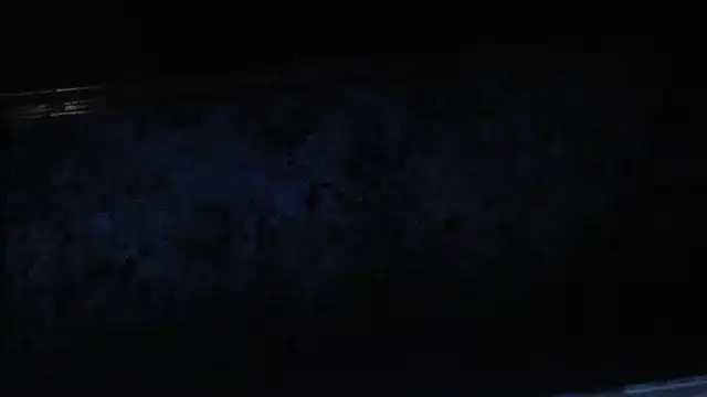 joeydee1 online show from 17, 2, 2025