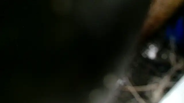 Snapshot of Gigadickman chatting on 2, 12, 2024 Gigadickman online show from 2, 12, 2024