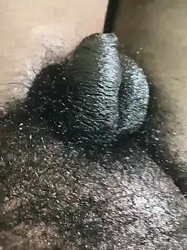 rajrahulovi online show from 2, 2, 2026