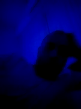 HELL FIRE online show from 30, 9, 2025