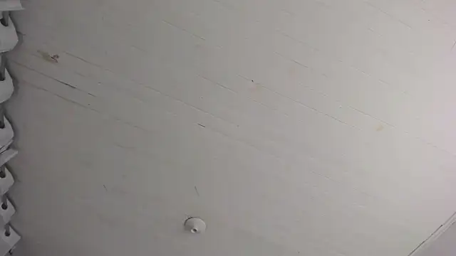 TiffanyWright online show from 29, 11, 2025