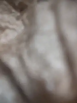 VL25DN26 online show from 9, 3, 2026