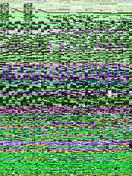 Snapshot of -SHINON- chatting on 9, 11, 2025 -SHINON- online show from 9, 11, 2025