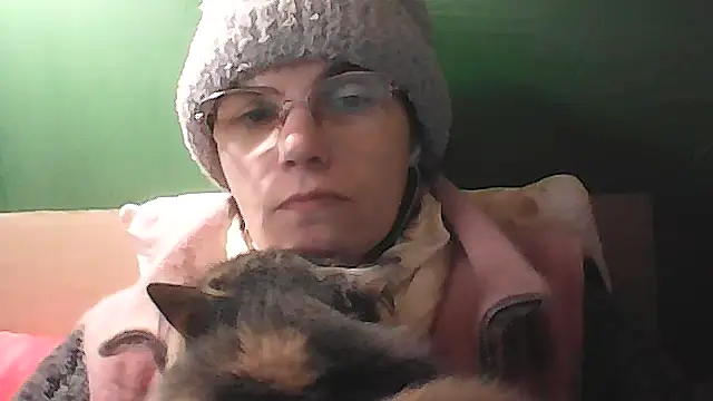 Musical  fantasy online show from 15, 2, 2026