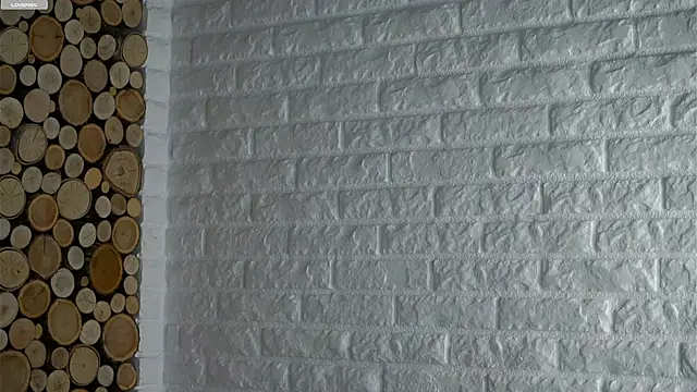 Snapshot of LowOncoming chatting on 1, 12, 2025 LowOncoming online show from 1, 12, 2025