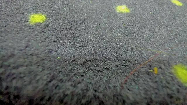 AishaRouhi online show from 21, 3, 2026