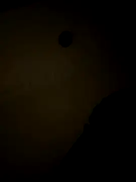 sluttydylan online show from 17, 12, 2025