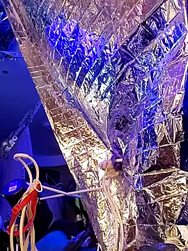 Snapshot of gurlnips chatting on 21, 3, 2025 gurlnips online show from 21, 3, 2025