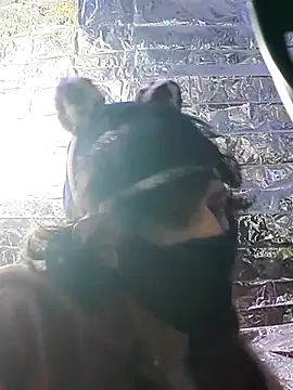 Snapshot of gurlnips chatting on 22, 3, 2025 gurlnips online show from 22, 3, 2025