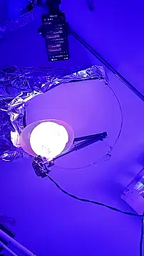 Snapshot of gurlnips chatting on 26, 9, 2025 gurlnips online show from 26, 9, 2025