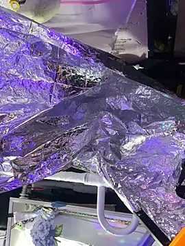 Snapshot of gurlnips chatting on 8, 10, 2025 gurlnips online show from 8, 10, 2025