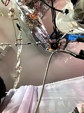 Snapshot of gurlnips chatting on 26, 11, 2025 gurlnips online show from 26, 11, 2025