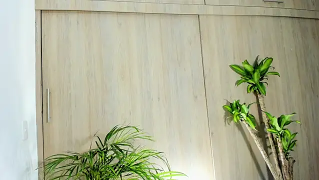 filletatouee online show from 30, 10, 2025