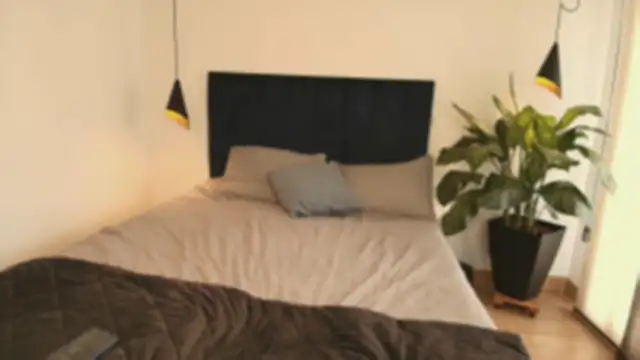 pansuggarofficial online show from 15, 11, 2025