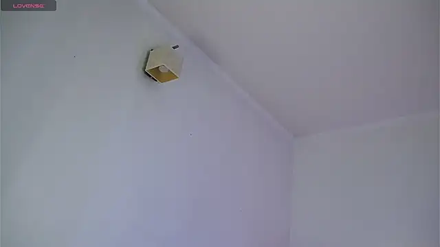 dustyn fox online show from 8, 3, 2025