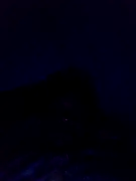 Snapshot of dotado20robson chatting on 22, 4, 2026 dotado20robson online show from 22, 4, 2026
